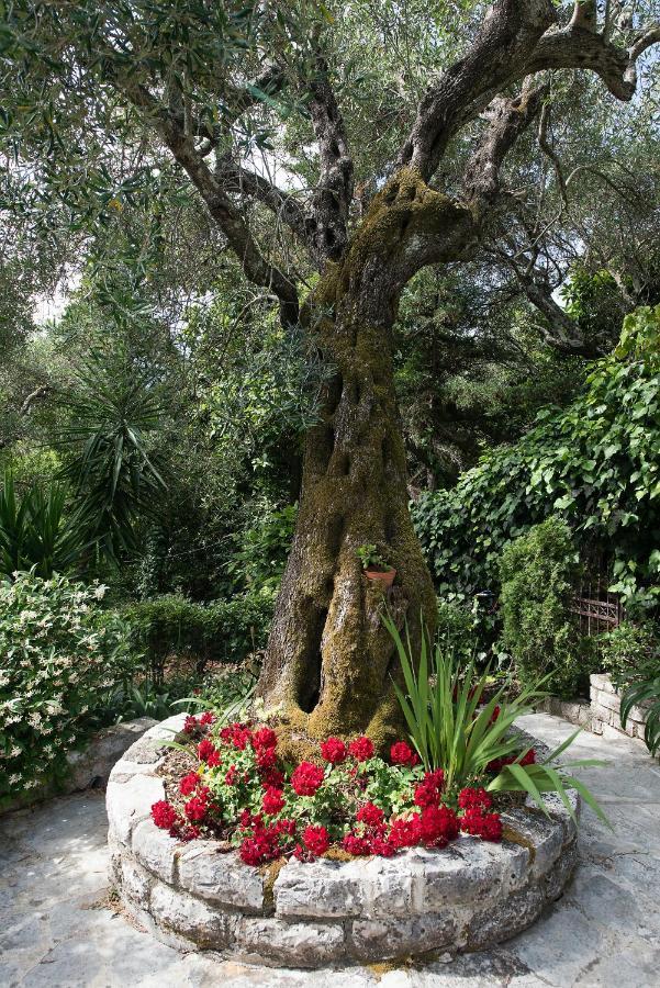 Villa Lofos Kassiopi Exterior photo